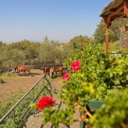 Horse House Ragalna Exterior foto